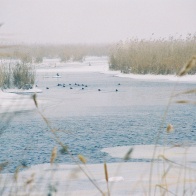 Зимняя пора